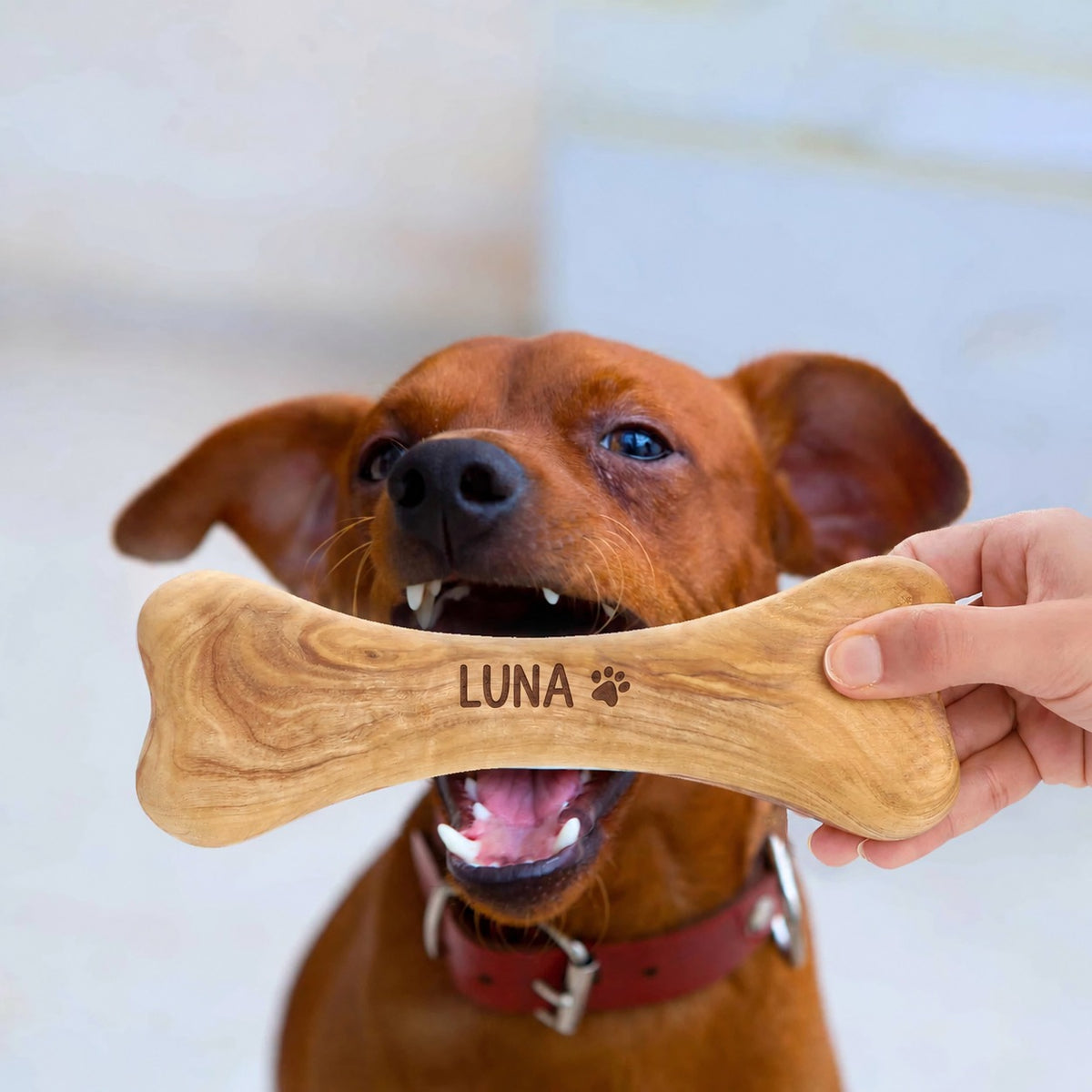 Personalisierter Hundeknochen aus Olivenholz mit Namensgravur LUNA und Pfotenmotiv